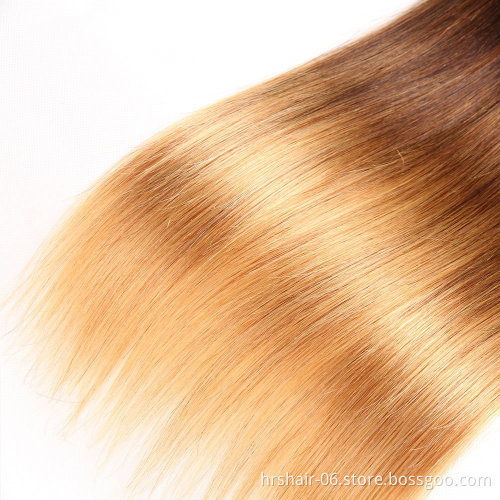 Ombre Brazilian Straight Hair Ombre Bundles With Closure, 3 Ombre Hair Bundles With Lace Closure T1b/4/27